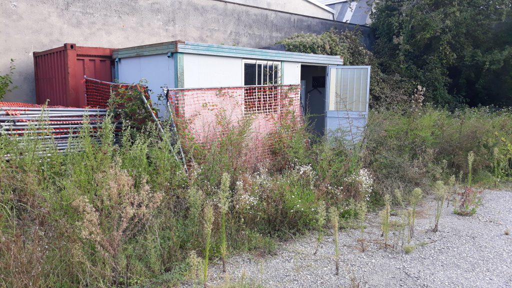 Img container usato